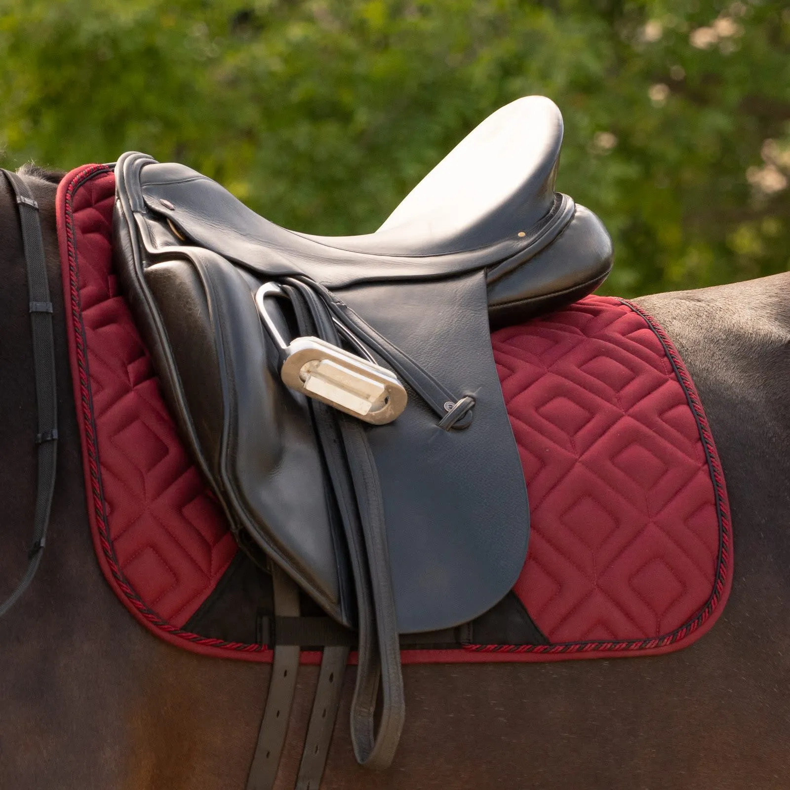 Equinavia Saga Dressage Crank Noseband Bridle & Reins - Black E10005